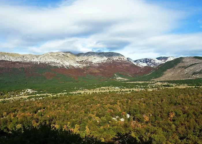 Inviting With Garden, Barbecue, Garden Furniture